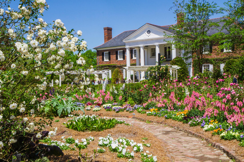 Charleston: Boone Hall Plantation Tour