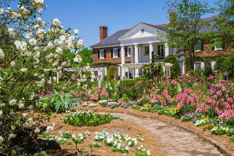 Charleston: Boone Hall Plantation Tour