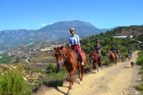 Randonnée à cheval à Alanya : sentiers pittoresques et vues sur la côte