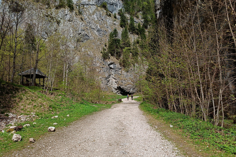 Brașov: Caminhada privada em Piatra Craiului até a cabana CurmaturaBrașov: Caminhada Privada de Piatra Craiului até a Cabana Curmatura