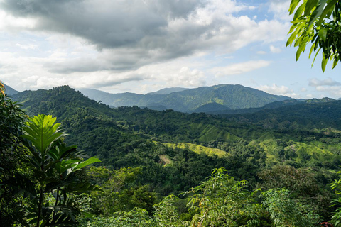 Santa Marta: 5-Day Lost City Trek with Indigenous Village