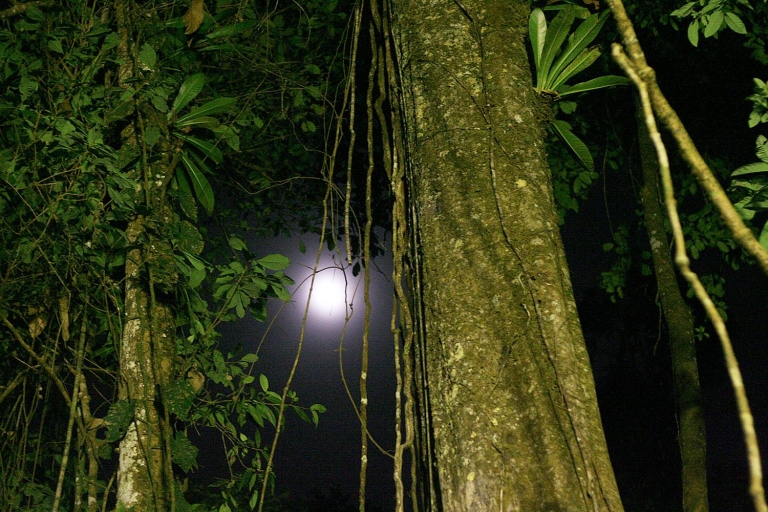 Iquitos 2 jours Rio Amazonas |Marche de nuit + singes