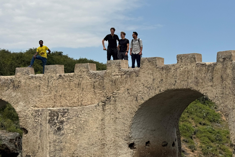 Addis Ababa: Debre Libanos, Gelada Baboons, & Gorge Tour