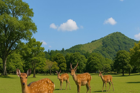 From Osaka: Nara Private Guided Day Trip with Flexible Tour