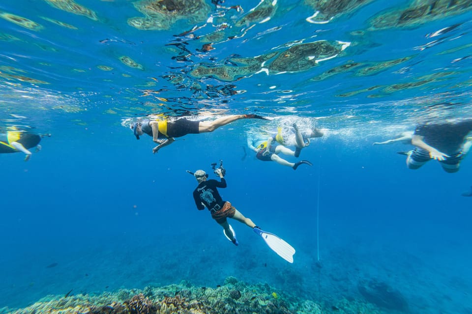 South Maui Molokini and Turtle Town Snorkeling Tour GetYourGuide