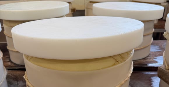 From Bologna: Parmesan Cheese & Balsamic Vinegar Tour+Lunch