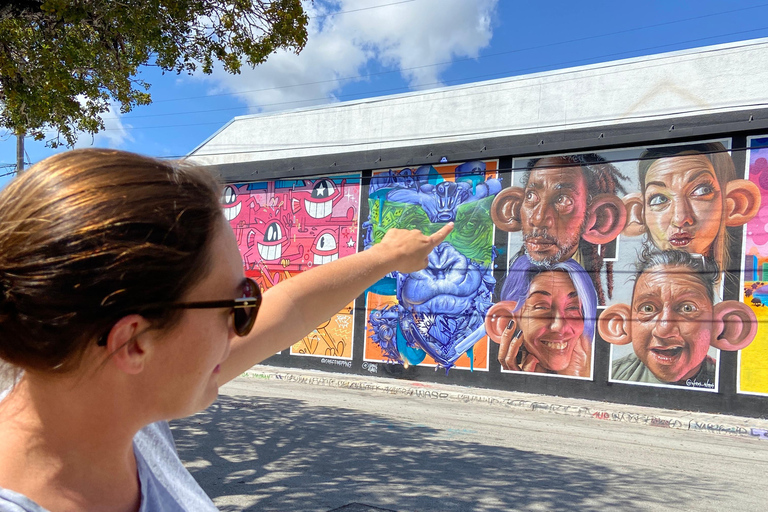 Wynwood wandeltour in het Frans (2u)