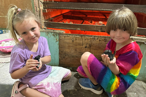 Hoi An: Duck Farm Experience with Local Family & Duck Leader