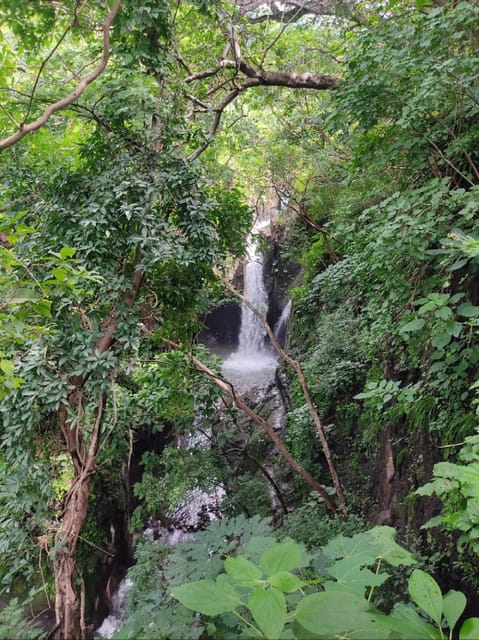 Cascate Tamanique e Walter Thilo Deininger Park. - Hizvo