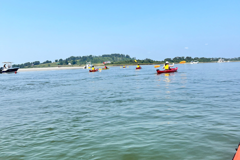 From Boston: Guided Kayak Adventure at the Crane Estate