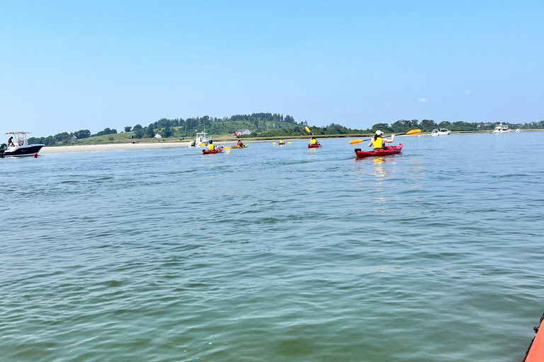 From Boston: Guided Kayak Adventure at the Crane Estate