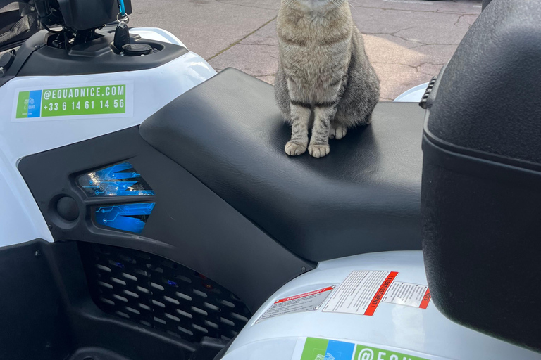 NICE BY ELECTRIC QUAD: Panoramatour von Nizza mit Snack