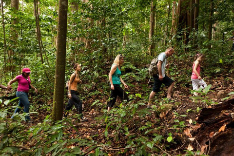 Santa Lucia: Zip Line, tram aereo e tour a piedi