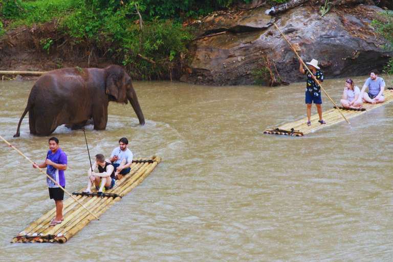 Chiang Mai: Full Day Living Green Elephant Sanctuary Chiangmai: Full Day Living Green Elephant Sanctuary