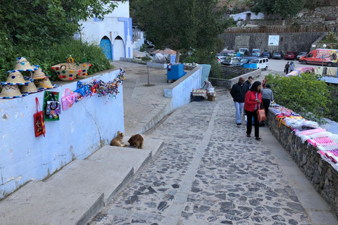 Vanuit Fes: Chefchaouen Groepsdagtrip