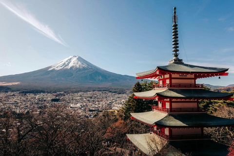 From Tokyo: Mount Fuji & Hakone Private Tour with Guide