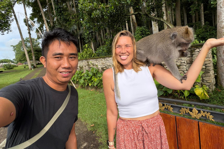 Bali: Amazing Waterfall, Monkey forest and Tample Tour