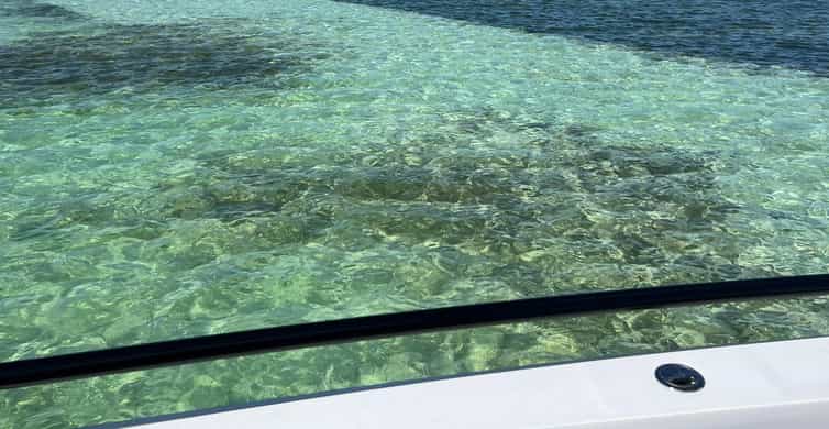 Miami: Celebrity Houses and Star Island Boat Tour photo 12