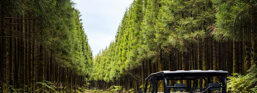 Buggy guidé - Aventure en 4x4 - Cratère volcanique de Sete Cidades