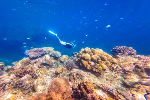 Phuket/Khao Lak: Ko Surin – 3-Riff-Schnorcheln-MeisterwerkAbholung vom Hotel in Phuket