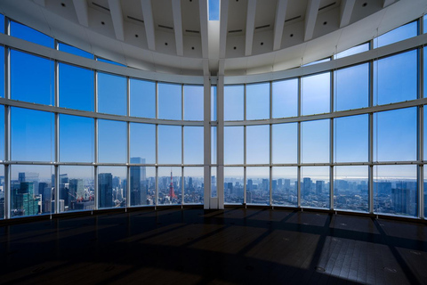 Tokyo: Roppongi Hills Observatory Ticket