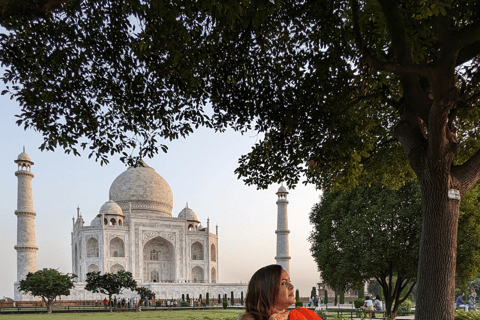 Billet d'entrée au Taj Mahal et guide