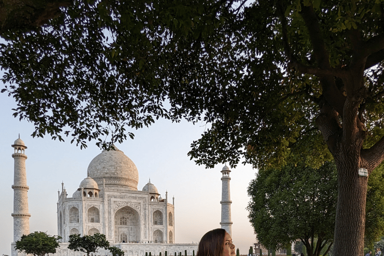 Billet d'entrée au Taj Mahal et guide