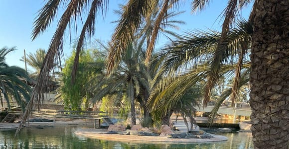 Djerba: Guided Half-Day or Full-Day Tour with Lunch