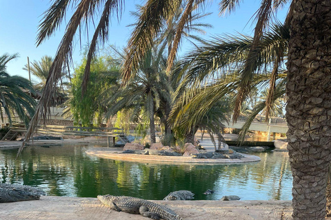 Djerba: Guidad halvdagsutflykt eller dagsutflykt med lunch