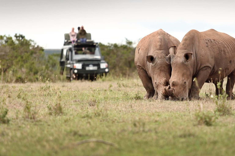 Excursión de 5 días Aberdare-Olpejeta-Samburu