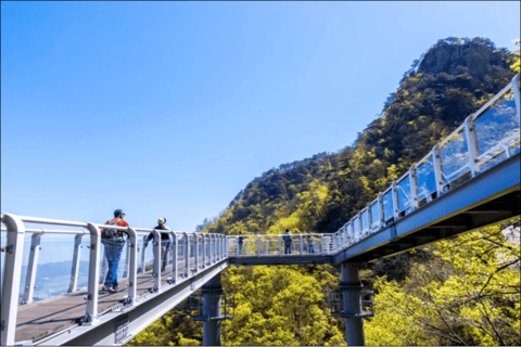 Seoul: Samaksan Cable Car &amp; Nami with Alpaca World/Railbike