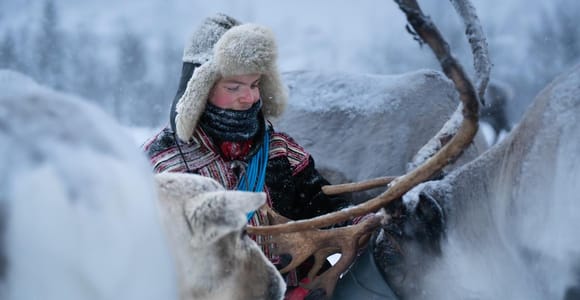 Tromsø: Small-Group Reindeer Feeding & Sami Culture Tour