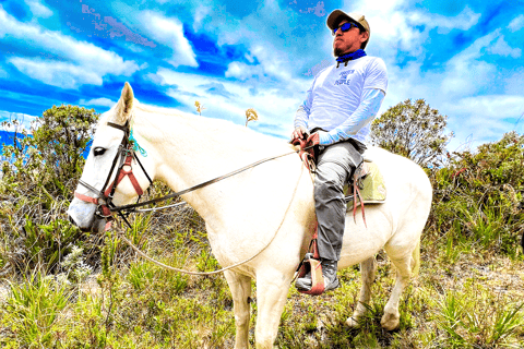 Avontuur te paard in het hart van de Ecuadoraanse Andes