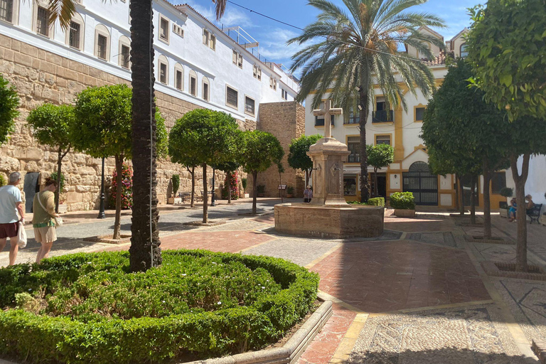 Marbella: Private Guided City Walking Tour with Tapas Tasting Marbella: Private guided city tour with tapas tasting