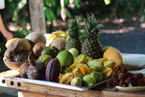 Puerto Plata: Blue Lagoon, Playa y Almuerzo Buffet