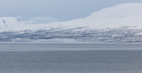 Abisko: Guided Afternoon Hike with Snacks and Drinks