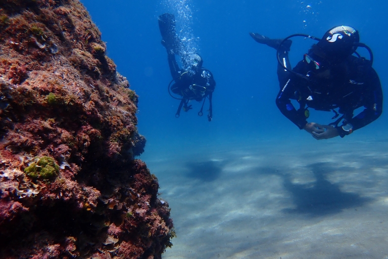 Puerto del Carmen: Beginner Scuba Diving Tour