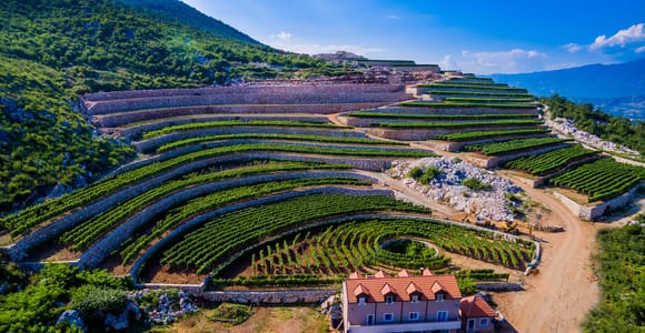 Građani: Winery Tour and Tasting at Winery Lipovac