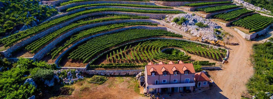 Građani : Visite du vignoble et dégustation au vignoble Lipovac