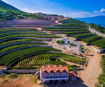 Građani: Winery Tour and Tasting at Winery Lipovac