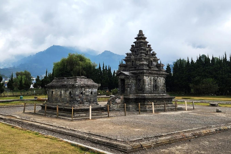 From Yogyakarta: Dieng Tour, Golden Sunrise &amp; Tea Plantation