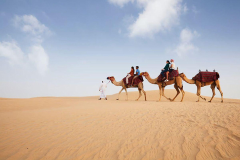 Doha: Desert Safari Tour with Wildlife Experience & Transfer