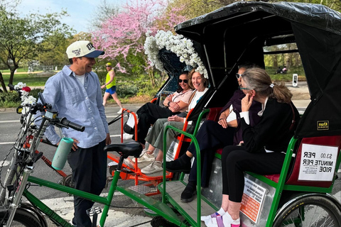 NYC: Central Park Storytelling Pedicab Tour with Theater Central Park Pedicab Tour - Deluxe 1.5 Hour Experience