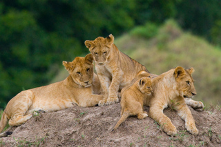 Day Trips and Tours from Nairobi