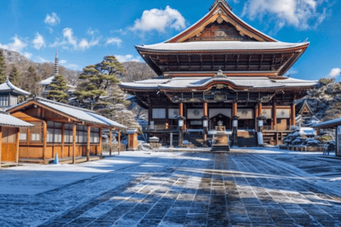 Von Tokio aus: Private Tagestour zu den Sehenswürdigkeiten des Weltkulturerbes Nikko