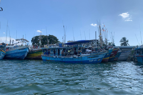 Negombo: Guided Walking Tour & Complimentary Accomodation