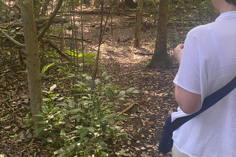 Bacalar: Calakmul Ruins Day Trip with a Stop In The Jungle