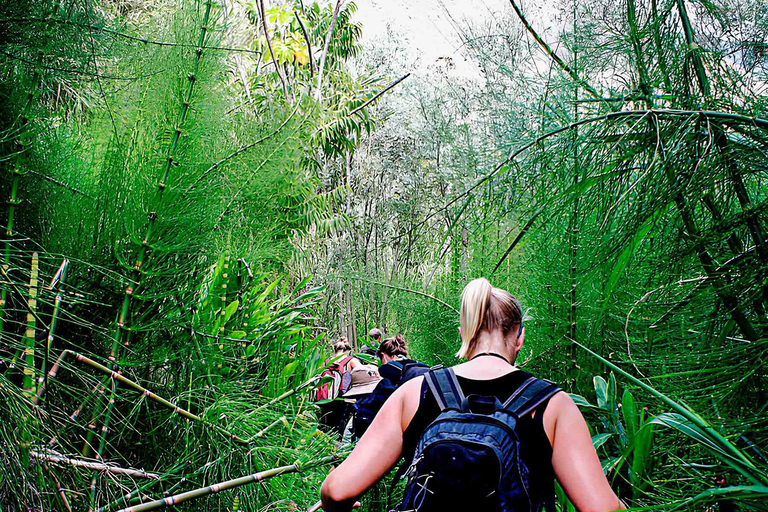 Inka Jungle tour Machu picchu