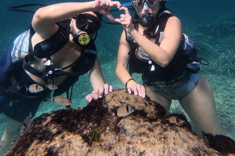 Mahdia: Guided Medina Tour and Scuba Diving Experience
