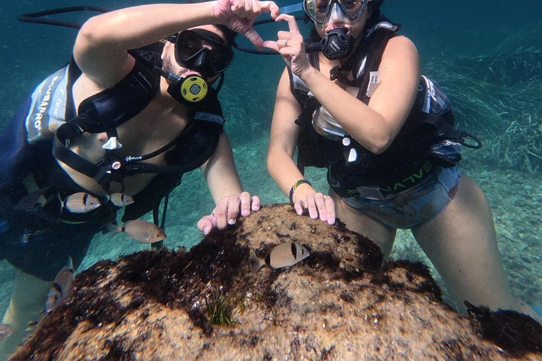 Mahdia: Guided Medina Tour and Scuba Diving Experience